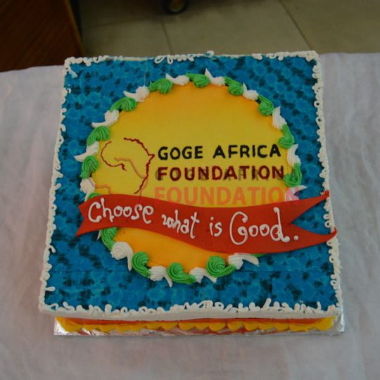 https://www.gogeafricafoundation.org/wp-content/uploads/2016/08/2016063013365600021-540x540.jpg